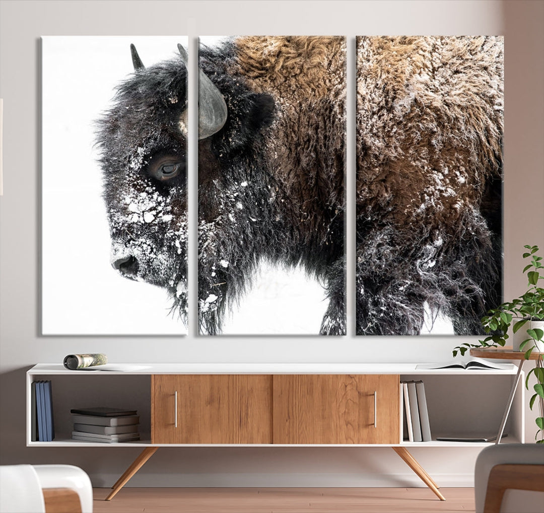 Bison Wall Art Canvas Print, Buffalo Canvas Print