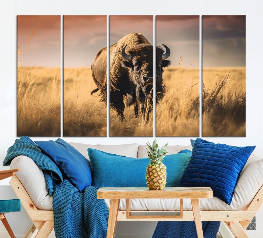 Buffalo in Field Wall Art Canvas Print