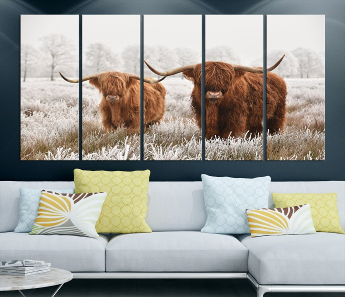 Newfoundland Cows Wall Art Canvas Print