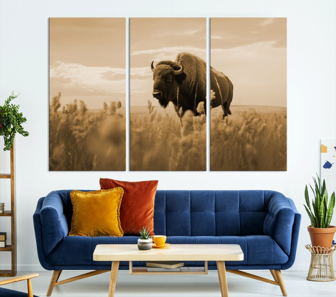 American Buffalo in Field Wall Art Canvas Print