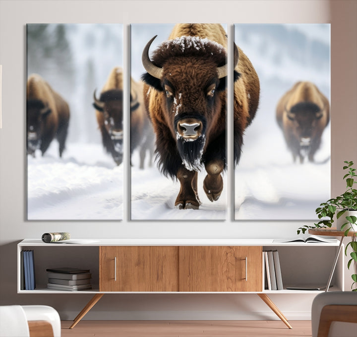 Buffalo Wall Art Canvas Print, Bison Wall Art Canvas Print