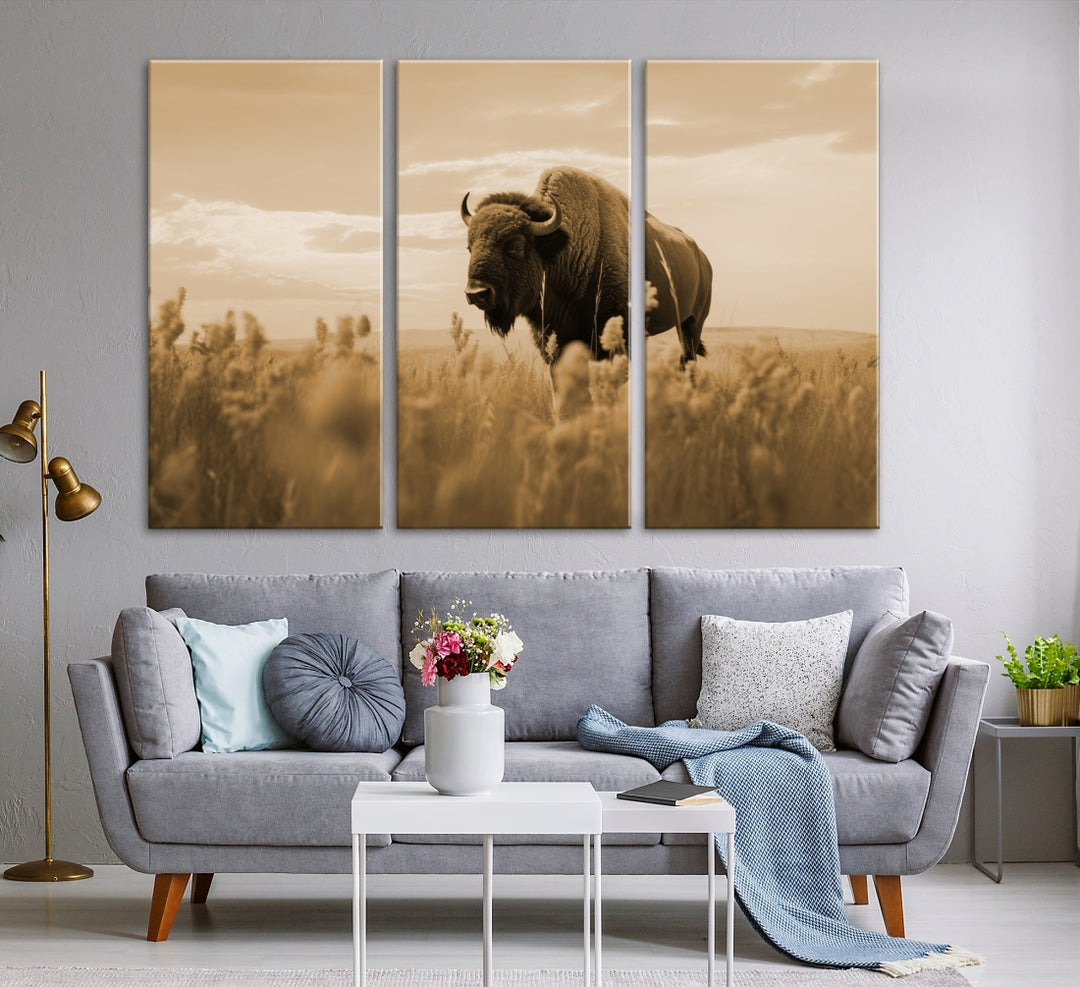 American Buffalo in Field Wall Art Canvas Print