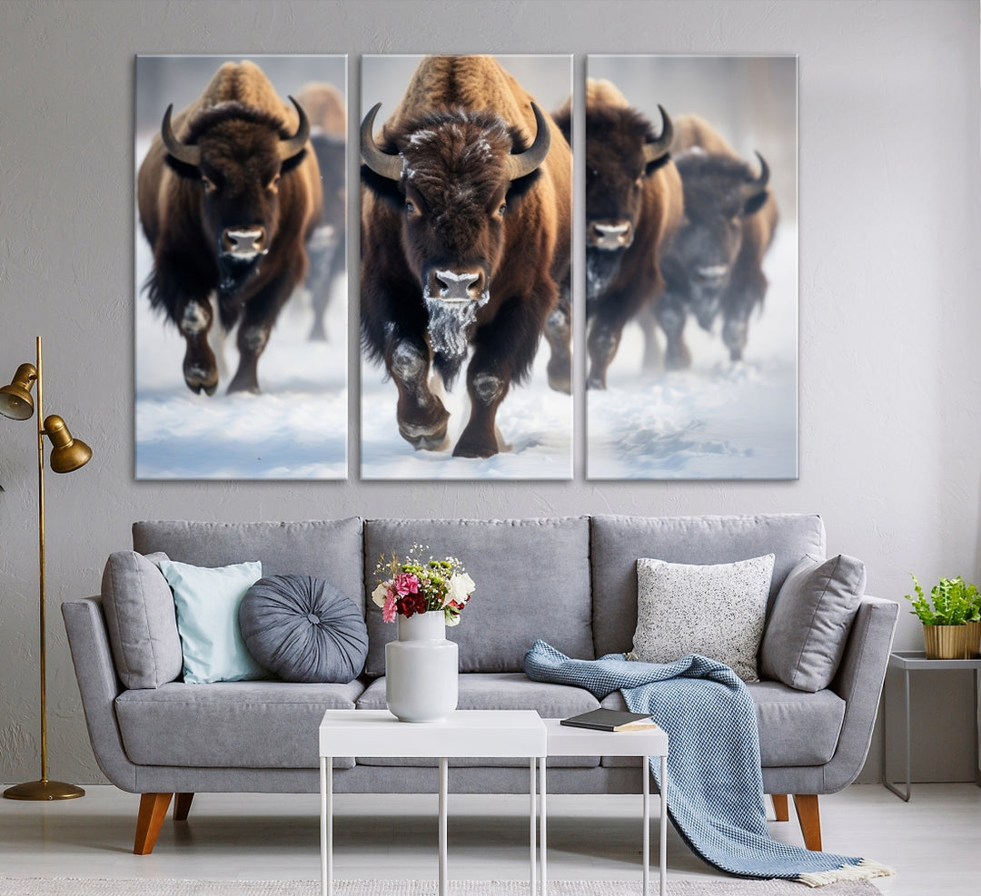 Buffalo Herd Wall Art Canvas Print, Bison Herd Wall Art Canvas Print