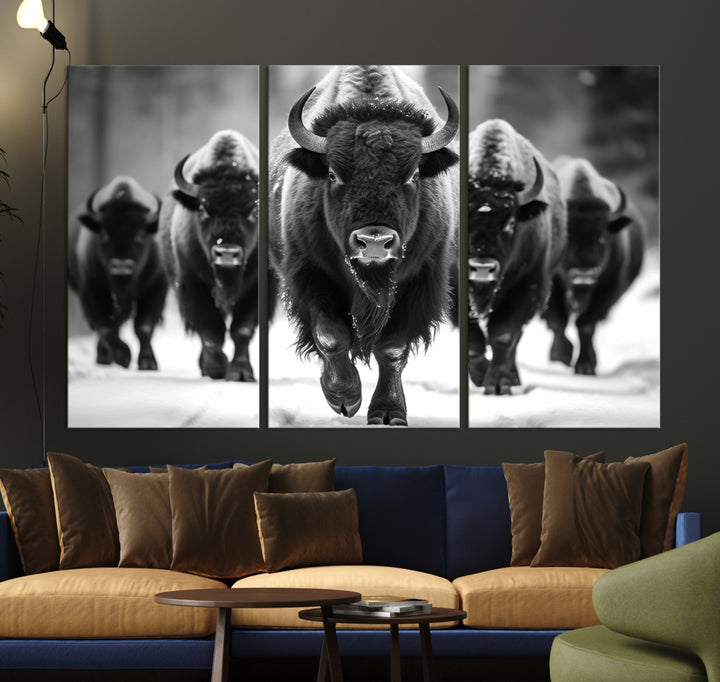 Buffalo Herd Wall Art Canvas Print, BW American Bison Herd Wall Art Canvas Print