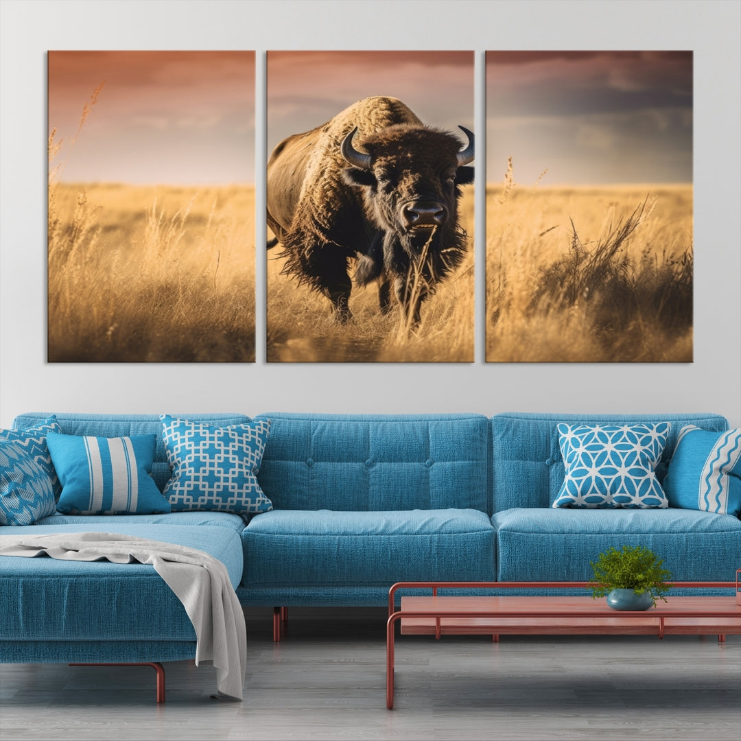 Buffalo in Field Wall Art Canvas Print
