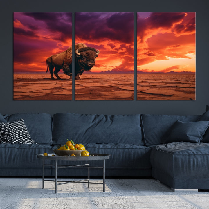 Alone Buffalo on Red Sunset Wall Art Canvas Print