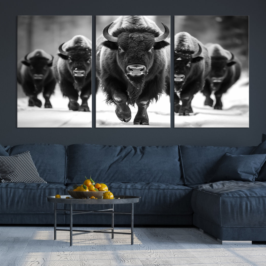 Buffalo Herd Wall Art Canvas Print, BW American Bison Herd Wall Art Canvas Print