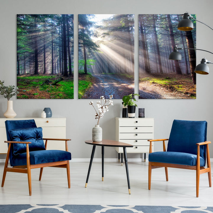 Forest and Trees Sun Shine Wall Art Canvas Print