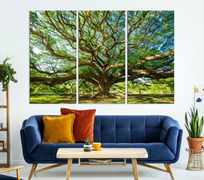 Angel Oak Tree Wall Art Canvas Print