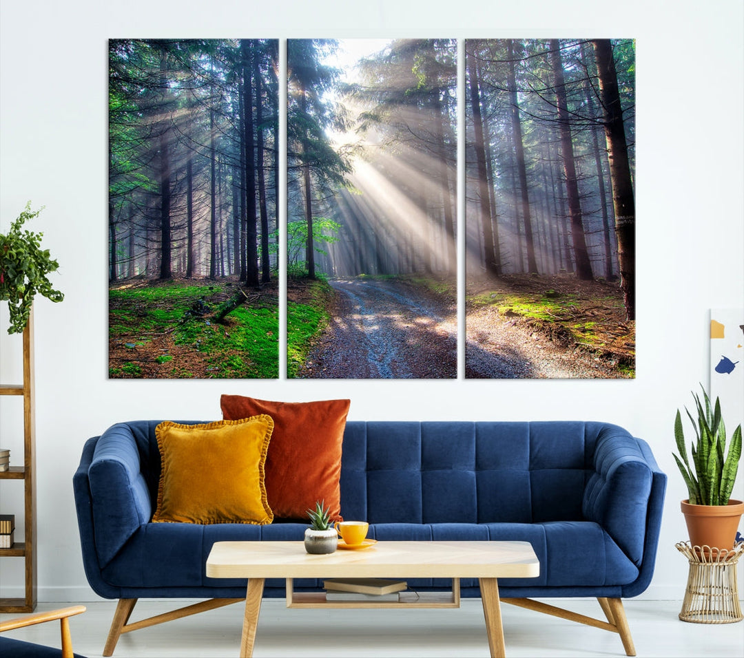 Forest and Trees Sun Shine Wall Art Canvas Print