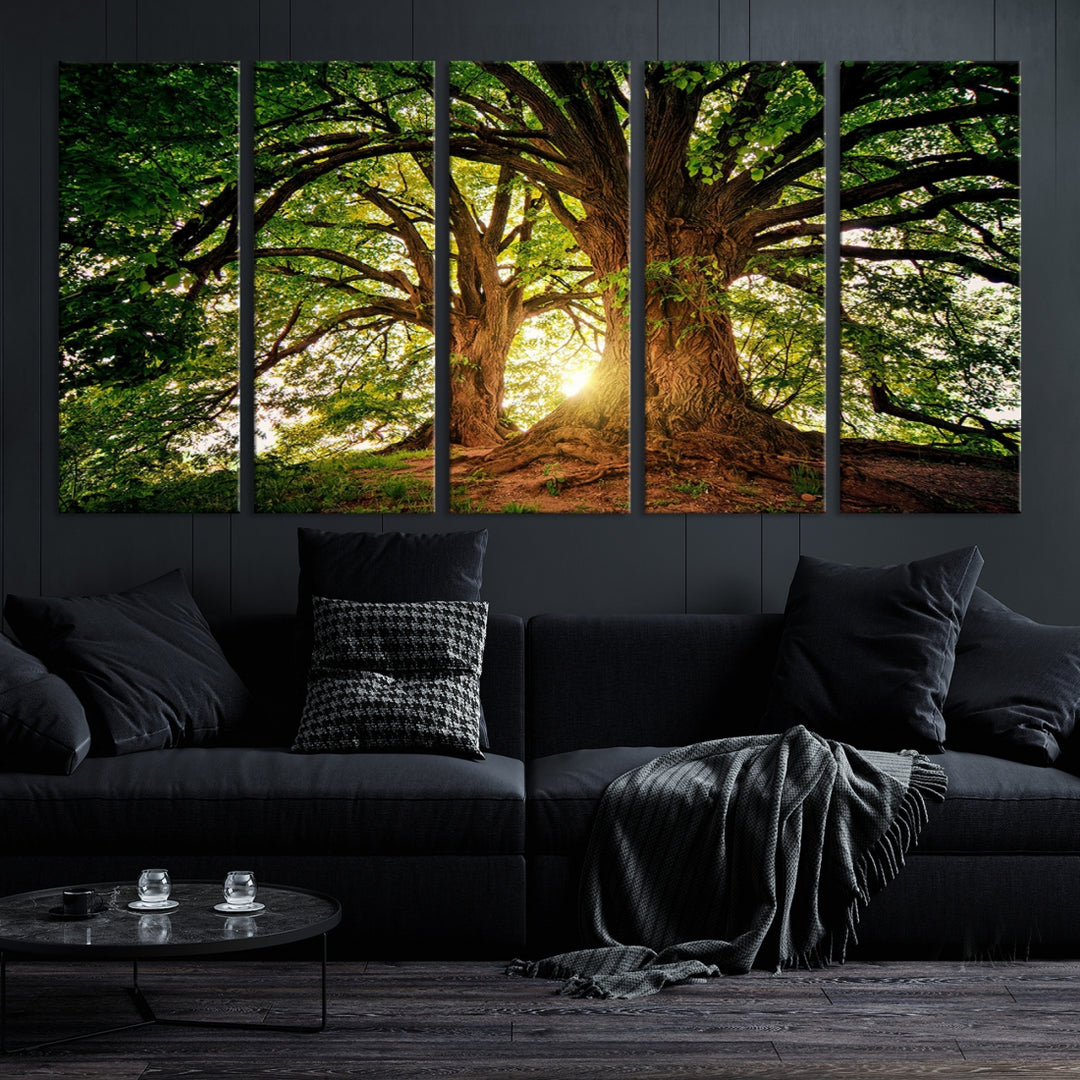 Big Old Trees and Sunshine Wall Art Canvas Print