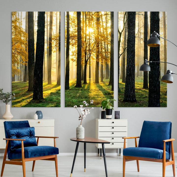 Wall Art Landscape Canvas Print Tall Trees in Forest at Sunset