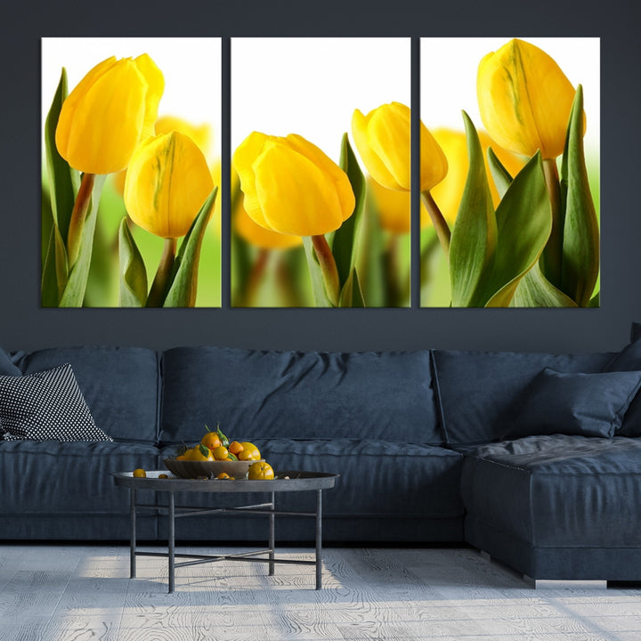 Wall Art Yellow Tulips Canvas Print