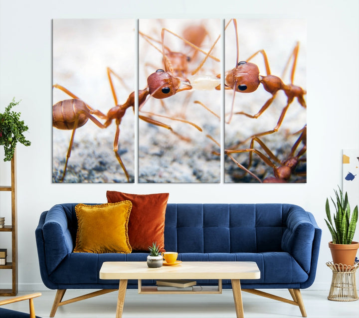 Ants Wall Art Canvas Print