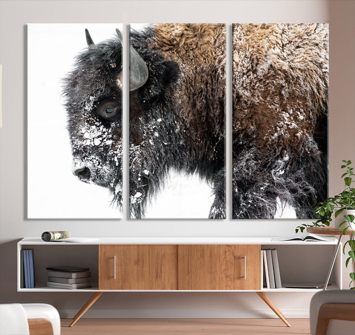 Impresión en lienzo de arte de pared de bisonte, impresión de lienzo de búfalo