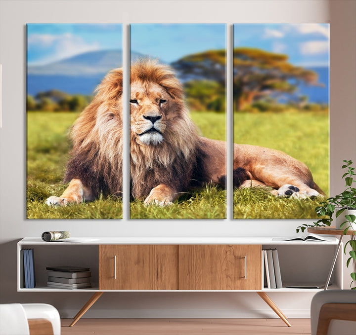 Lion sur Savannah Afrique Wall Art Impression sur toile