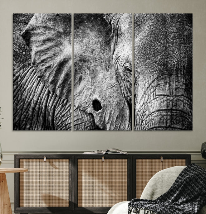 Wild Old Elephant Wall Art Canvas Print