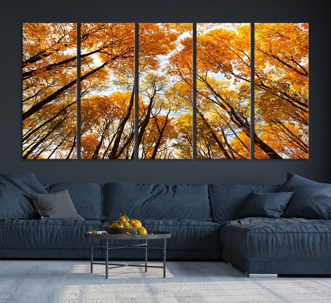 Wall Art Yellow Forest and Sky in Autumn Canvas Print