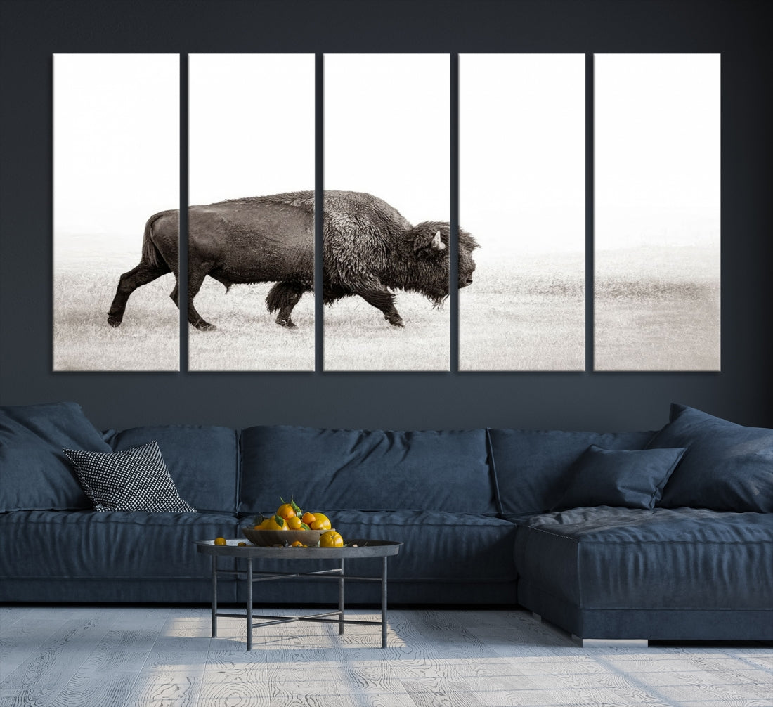 Alone Bison Wall Art Canvas Print, Cow Wall Art, Buffalo Artwork