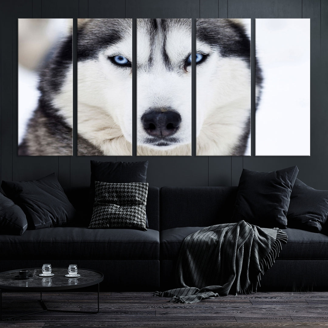 Hiver Husky Sibérien Loup Yeux Bleus Art Mural Impression sur toile