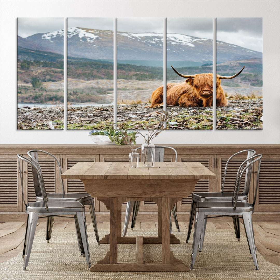 Highland Cow Horn Farm Wall Art Canvas Print