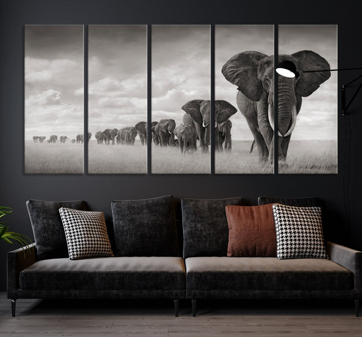 Arte de pared de elefante Lienzo