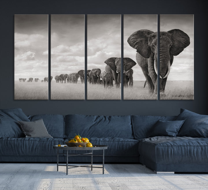 Arte de pared de elefante Lienzo