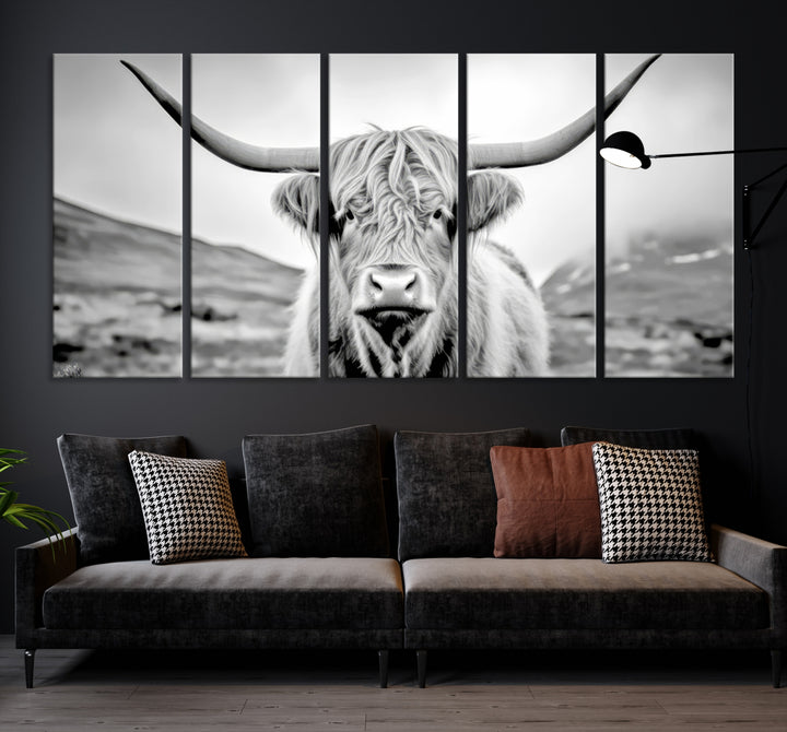 Scottish Cow Wall Art Canvas Print