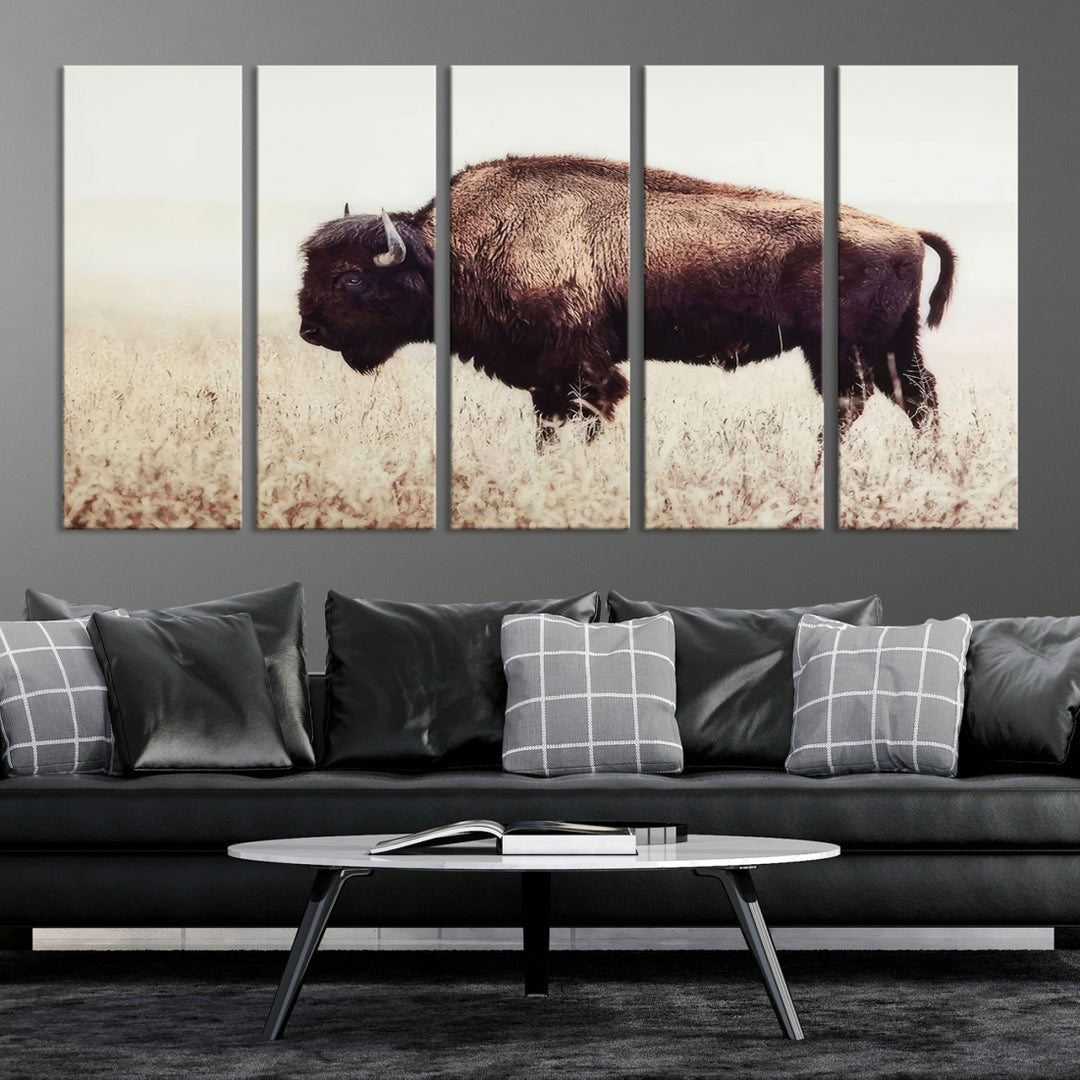 Bison in Field Wall Art Canvas Print For Farmhouse Barn Decor