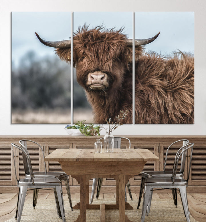 Fluffy Highland Cow Photograph Wall Art Canvas Print