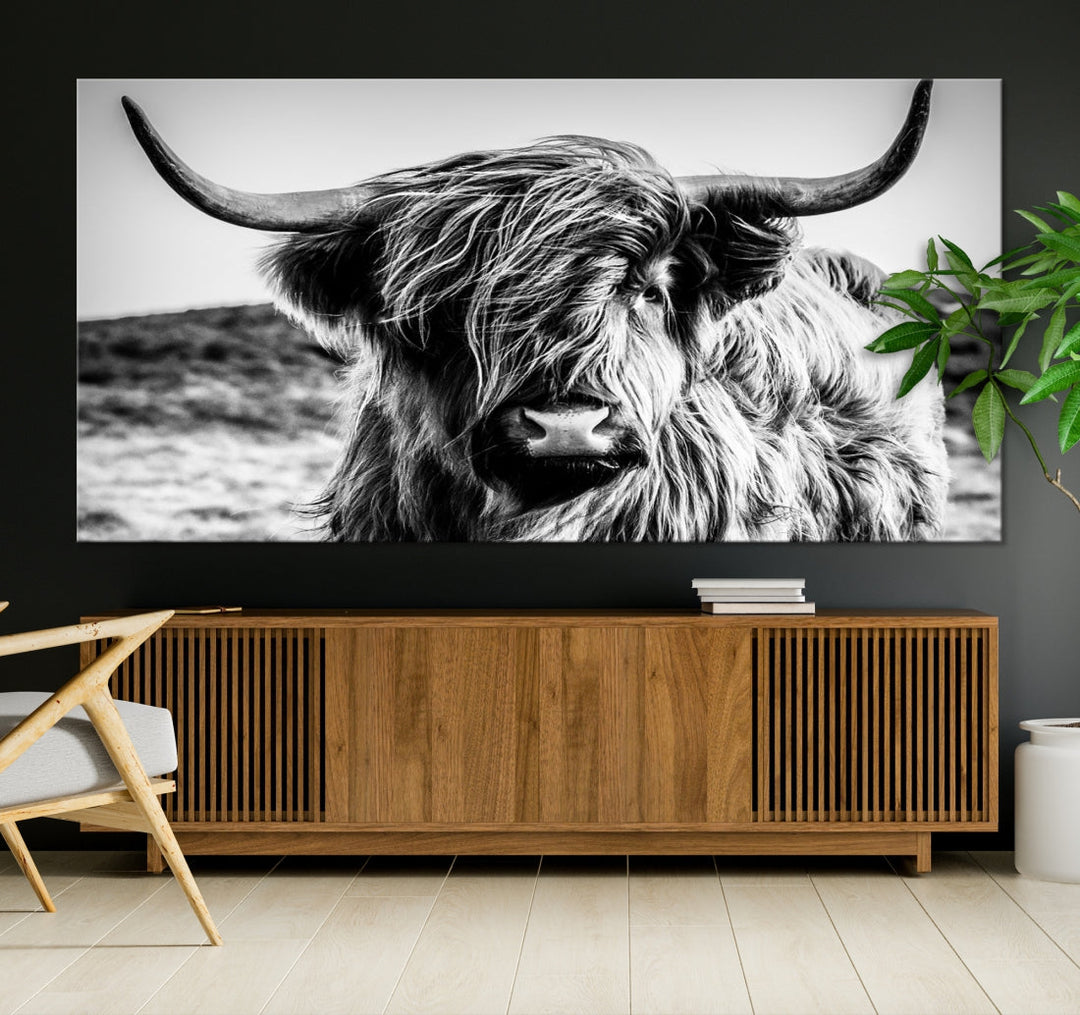 Scottish Cow Black and White Wall Canvas Art Print Farm House