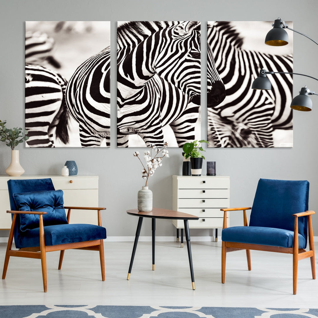 Brilliant Zebra Photography Art Canvas Print Black and White