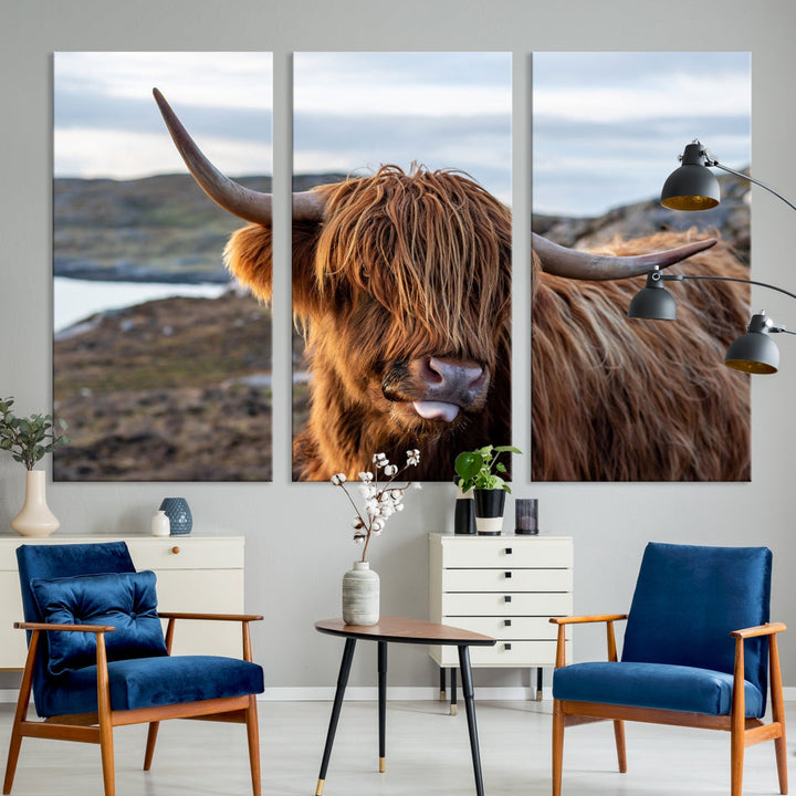 Cuddly Highland Vaca Lienzo Foto Pared Arte Impresión Highlands Arte Lindo Animal Arte de la pared