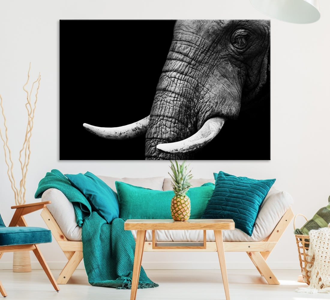 Large Wall Art Animal Canvas Print - Close Taken Elephant with Big Ivories