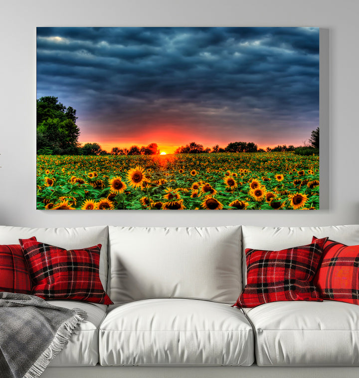 Sunflower Filed and Sunset Wall Art Canvas Print