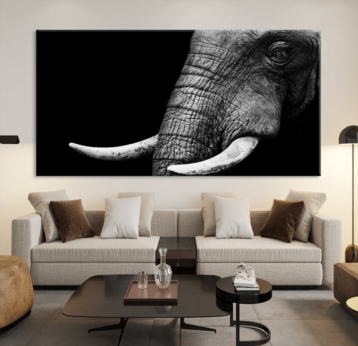 Impresión de lienzo de animales de arte de pared grande - Elefante tomado de cerca con grandes marfiles