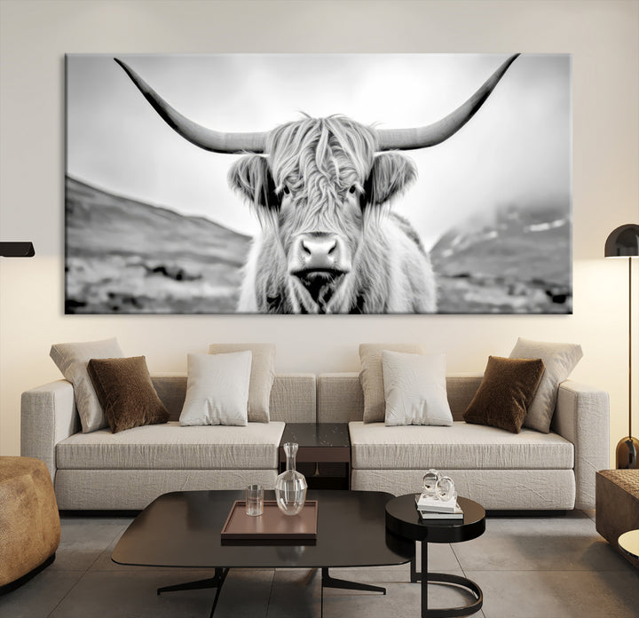 Scottish Cow Wall Art Canvas Print