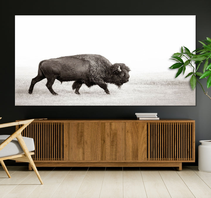 Impression sur toile d’art mural de bison seul, art mural de vache, œuvre d’art de buffle