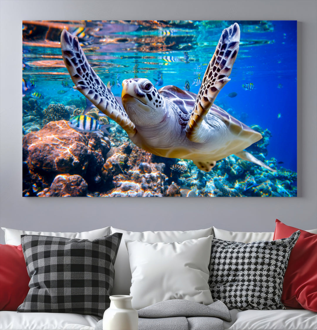 Turtle in the Ocean Coral Ocean Life Wall Art Canvas Print