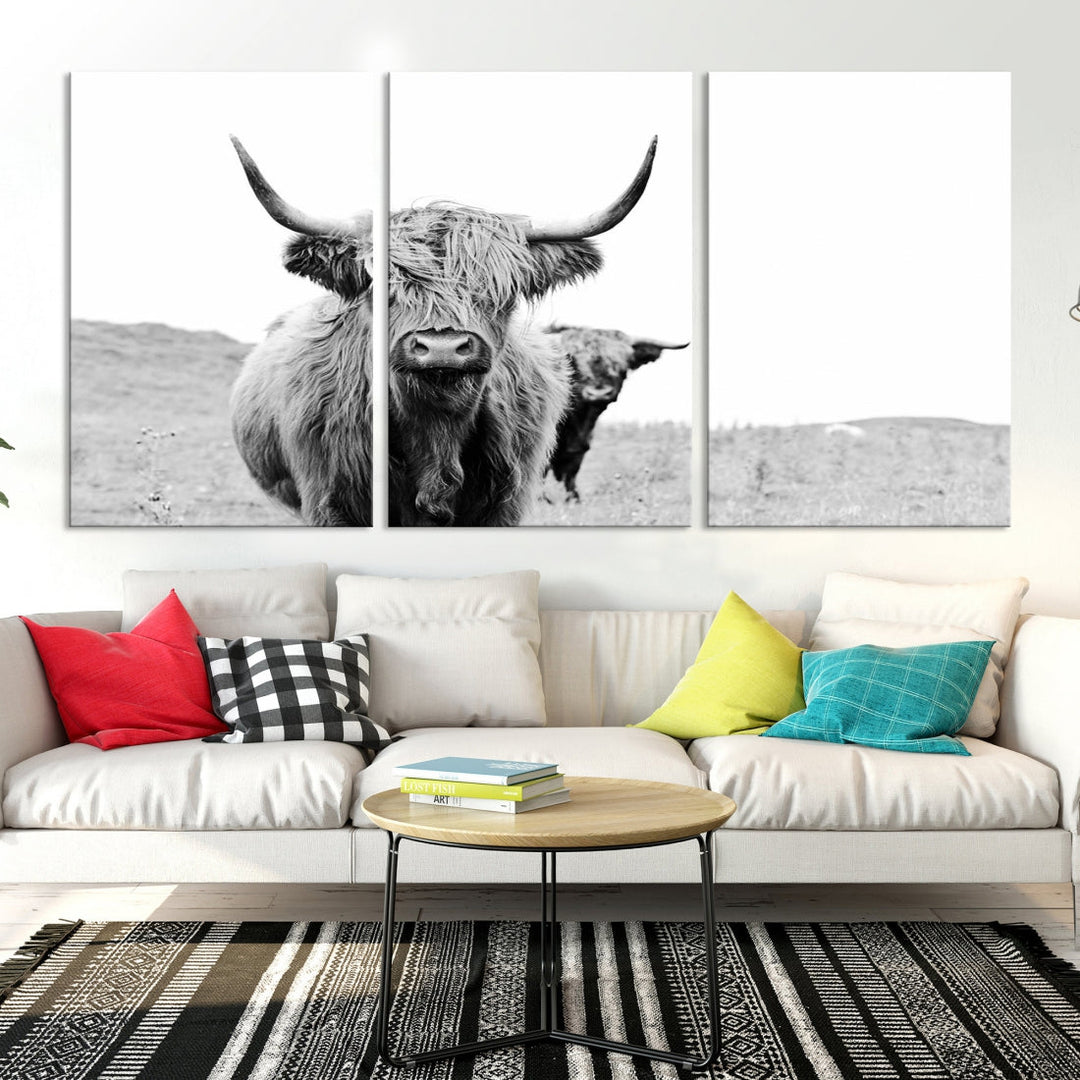 Black and White Highland Cattle Wall Art Canvas Print