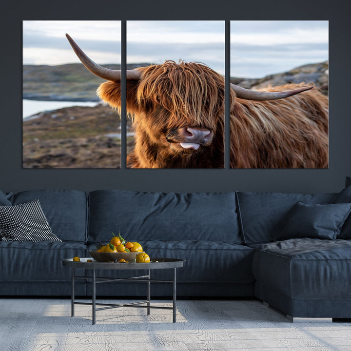 Cuddly Highland Vaca Lienzo Foto Pared Arte Impresión Highlands Arte Lindo Animal Arte de la pared