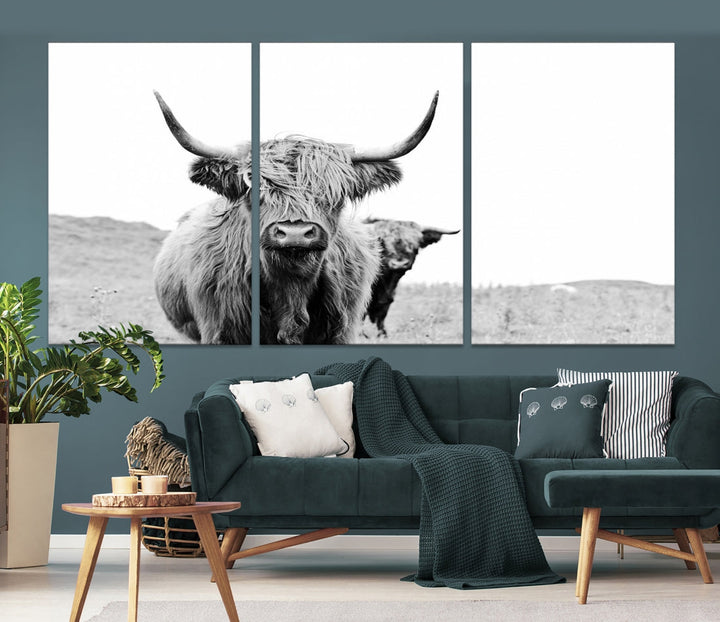 Black and White Highland Cattle Wall Art Canvas Print