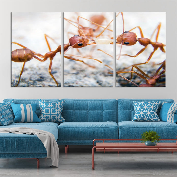 Art mural de fourmis Impression sur toile