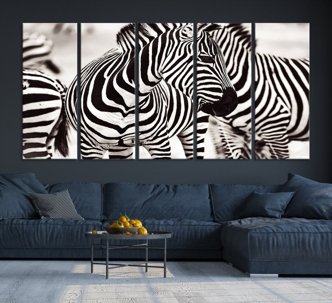 Brilliant Zebra Photography Art Canvas Print Black and White