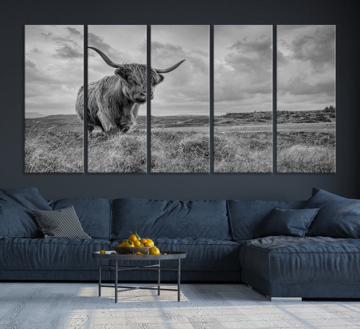 Scottish Cow Canvas Wall Art