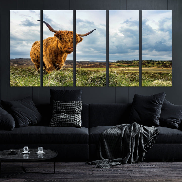 Highland Cattle Wall Art Cow Canvas Print Animal Art