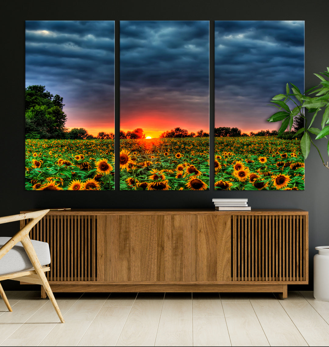 Sunflower Filed and Sunset Wall Art Canvas Print