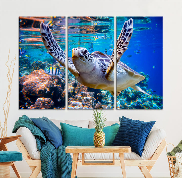Turtle in the Ocean Coral Ocean Life Wall Art Canvas Print