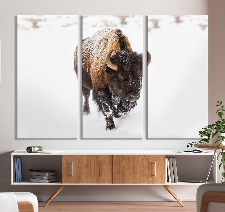 Bison Winter Wall Art Canvas Print For Farmhouse Decor