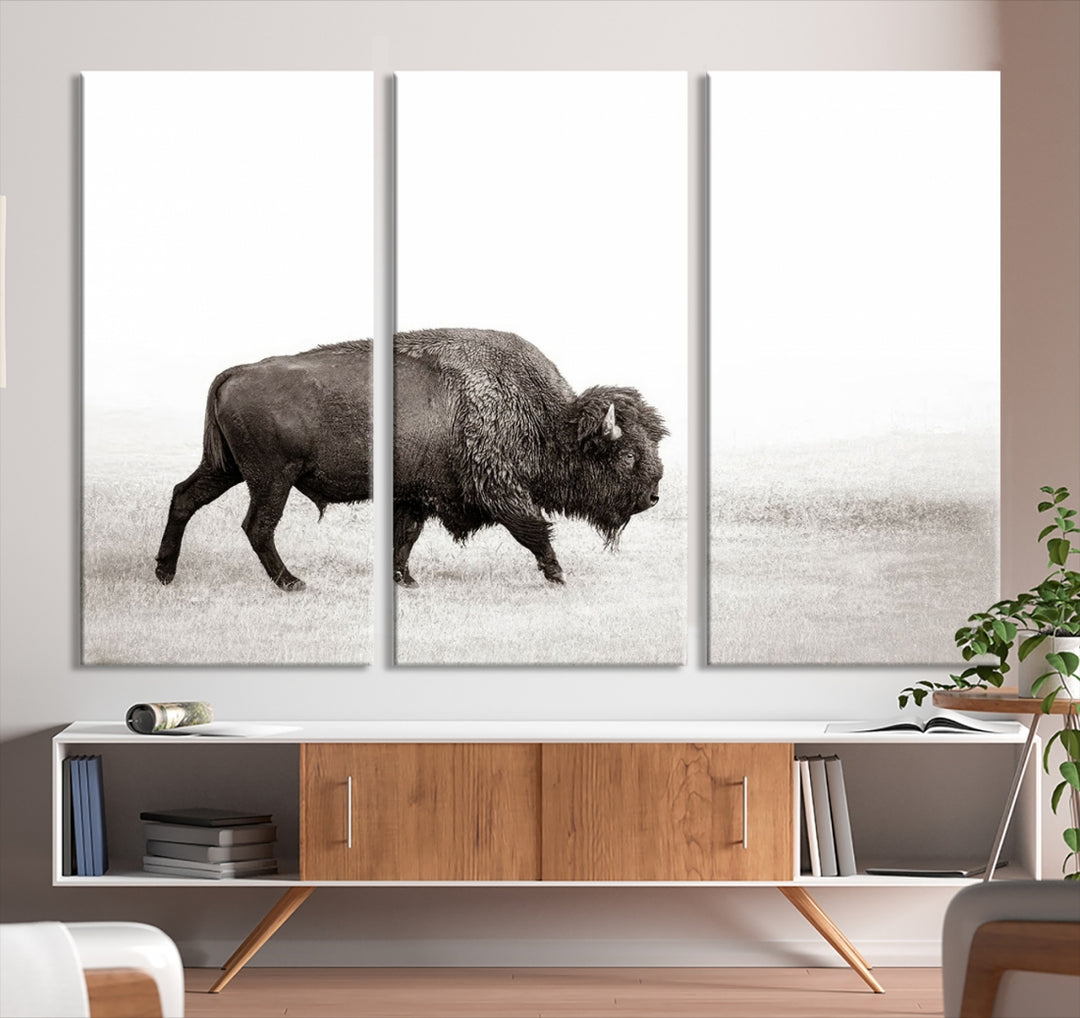 Solo Bisonte pared arte lienzo impresión, arte de la pared de la vaca, arte del búfalo